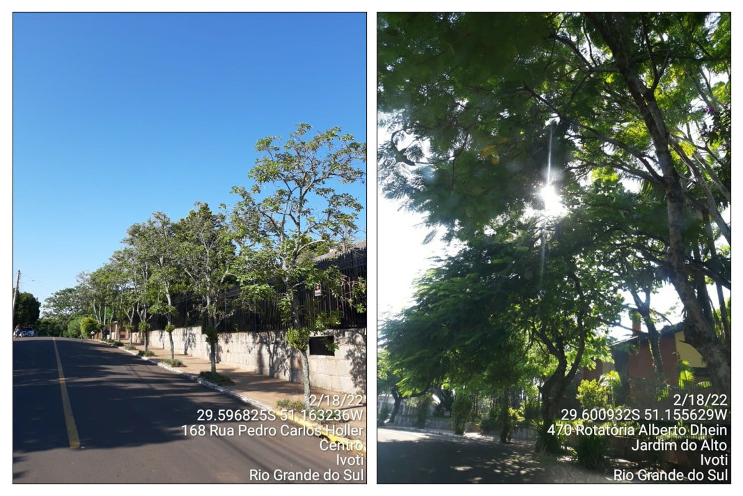 Duas áreas bem arborizadas de Ivoti